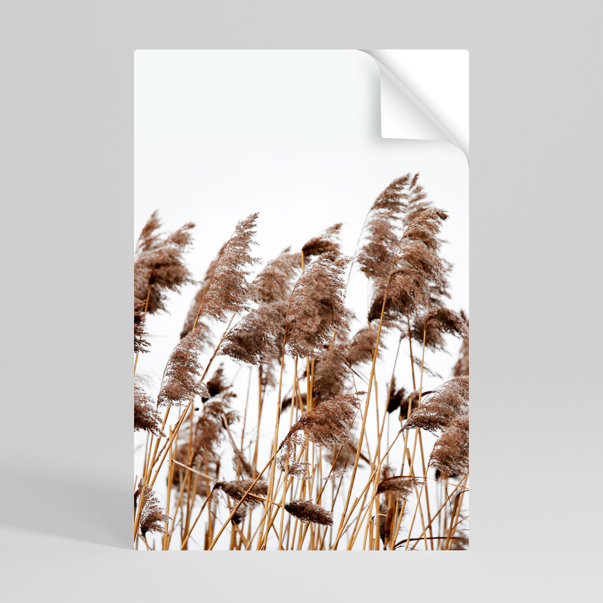 DANCE OF REEDS Självhäftande Vertikal Poster