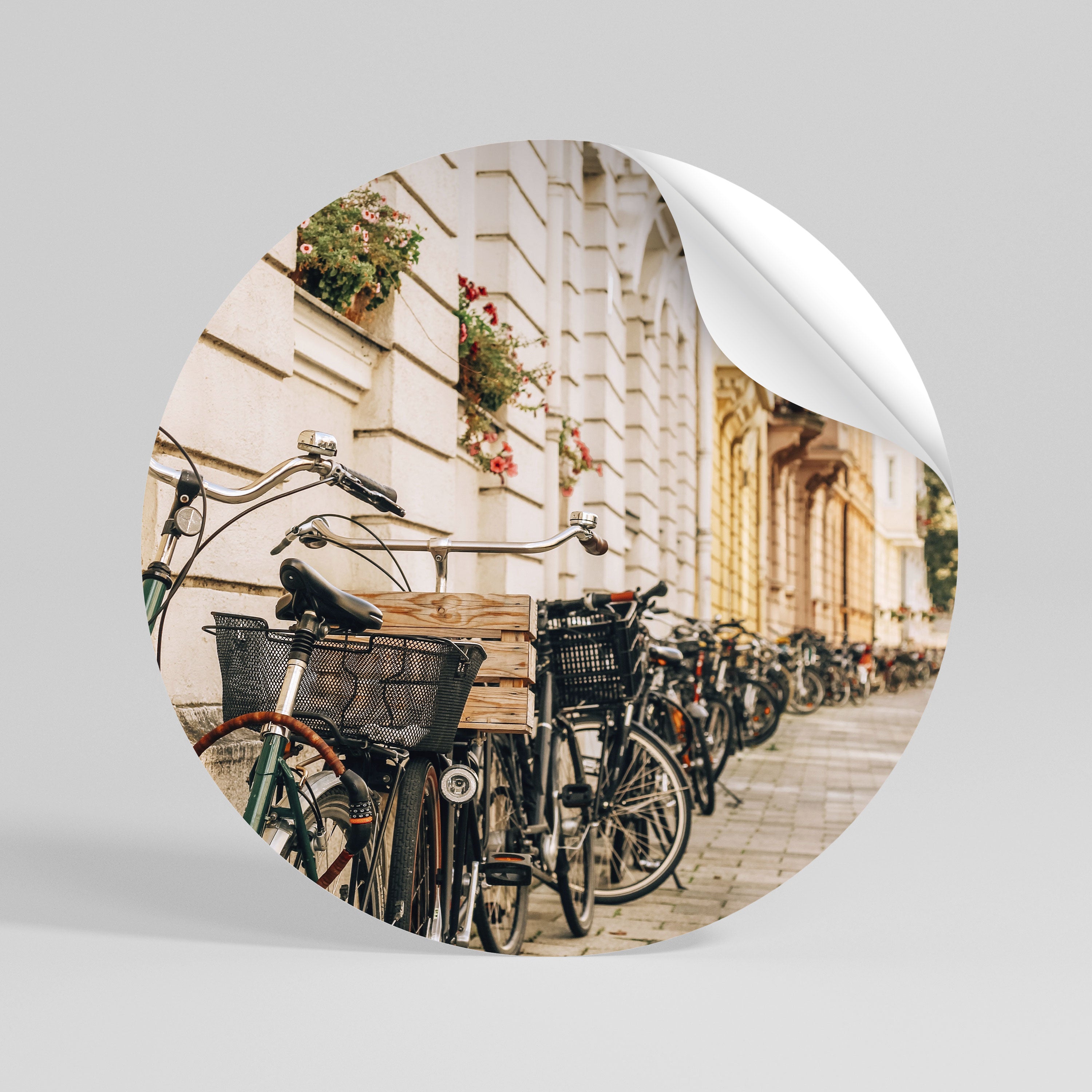 URBAN CYCLE HAVEN Rund väggdekal