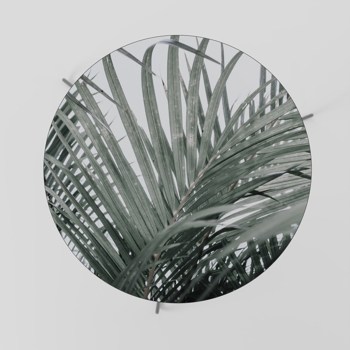 PALM WHISPERS Soffbord