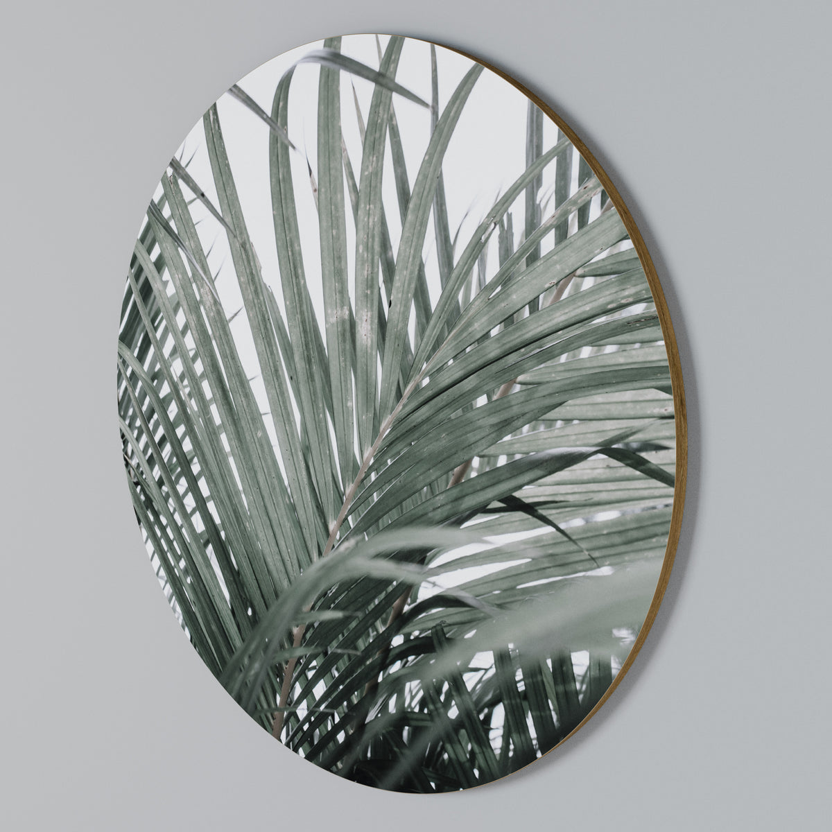 PALM WHISPERS Rund väggdekor