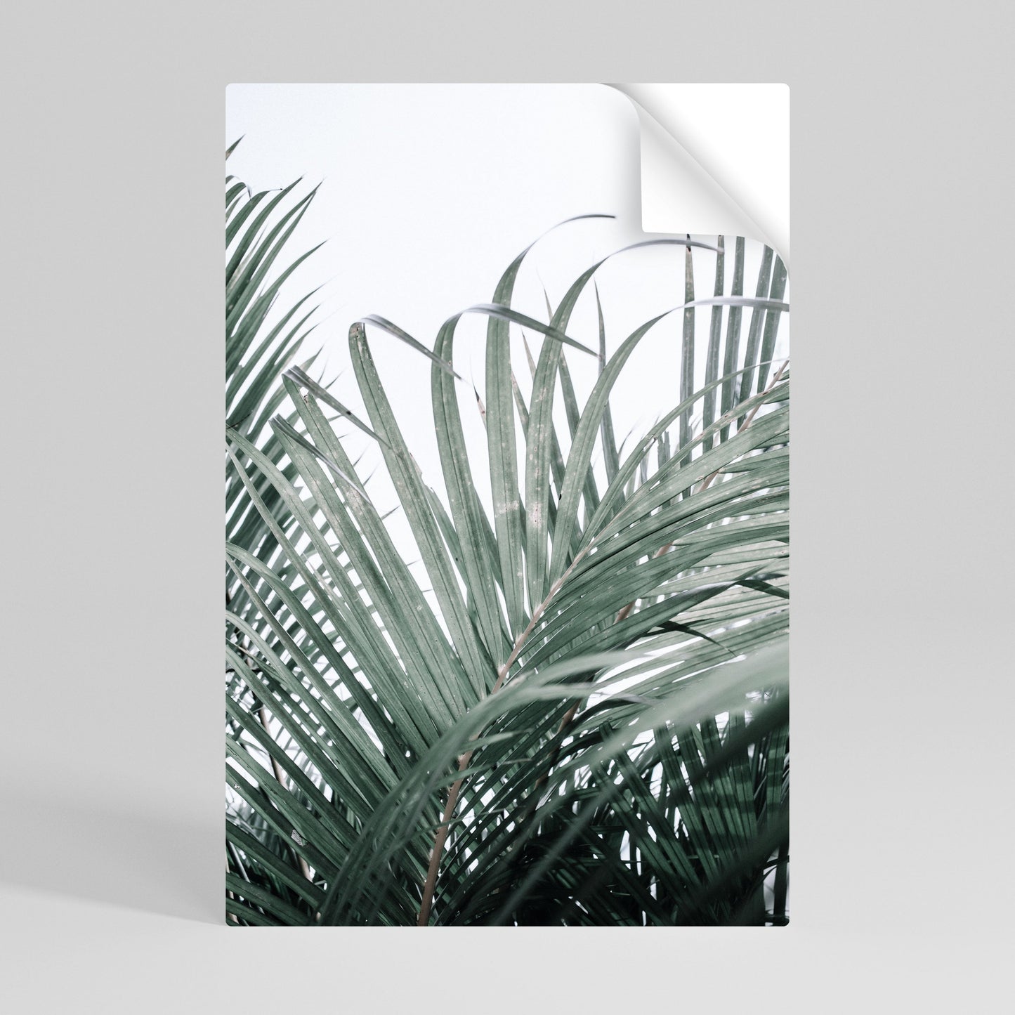 PALM WHISPERS vertikal affisch med självhäftande motiv