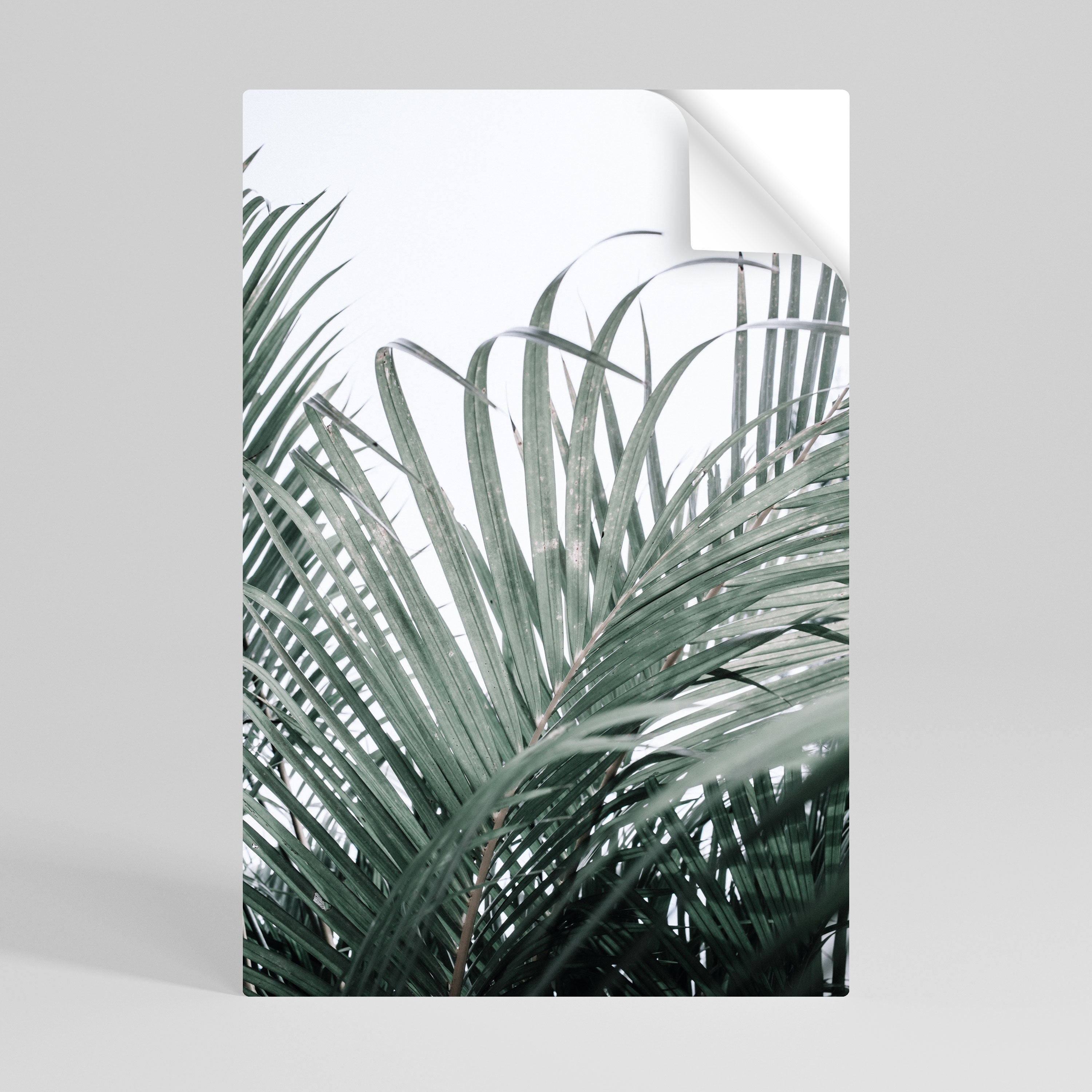 PALM WHISPERS vertikal affisch med självhäftande motiv