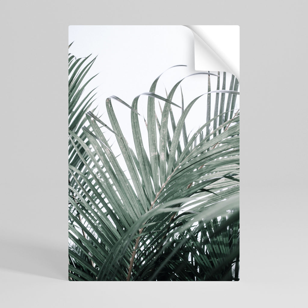 PALM WHISPERS vertikal affisch med självhäftande motiv