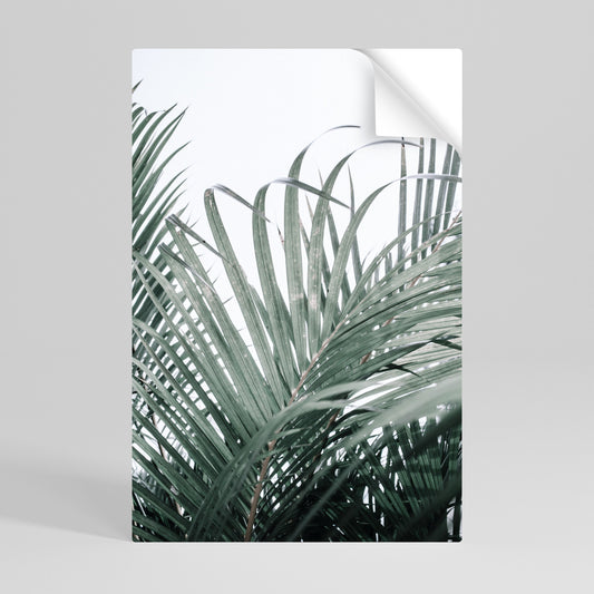 PALM WHISPERS vertikal affisch med självhäftande motiv