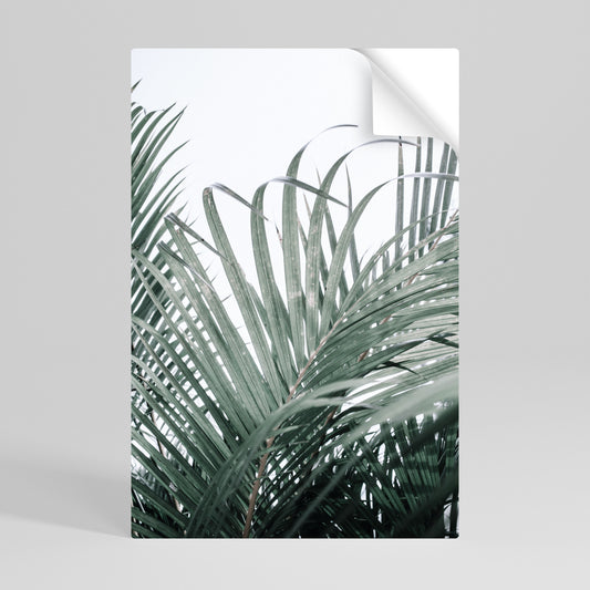 PALM WHISPERS Självhäftande Vertikal Poster