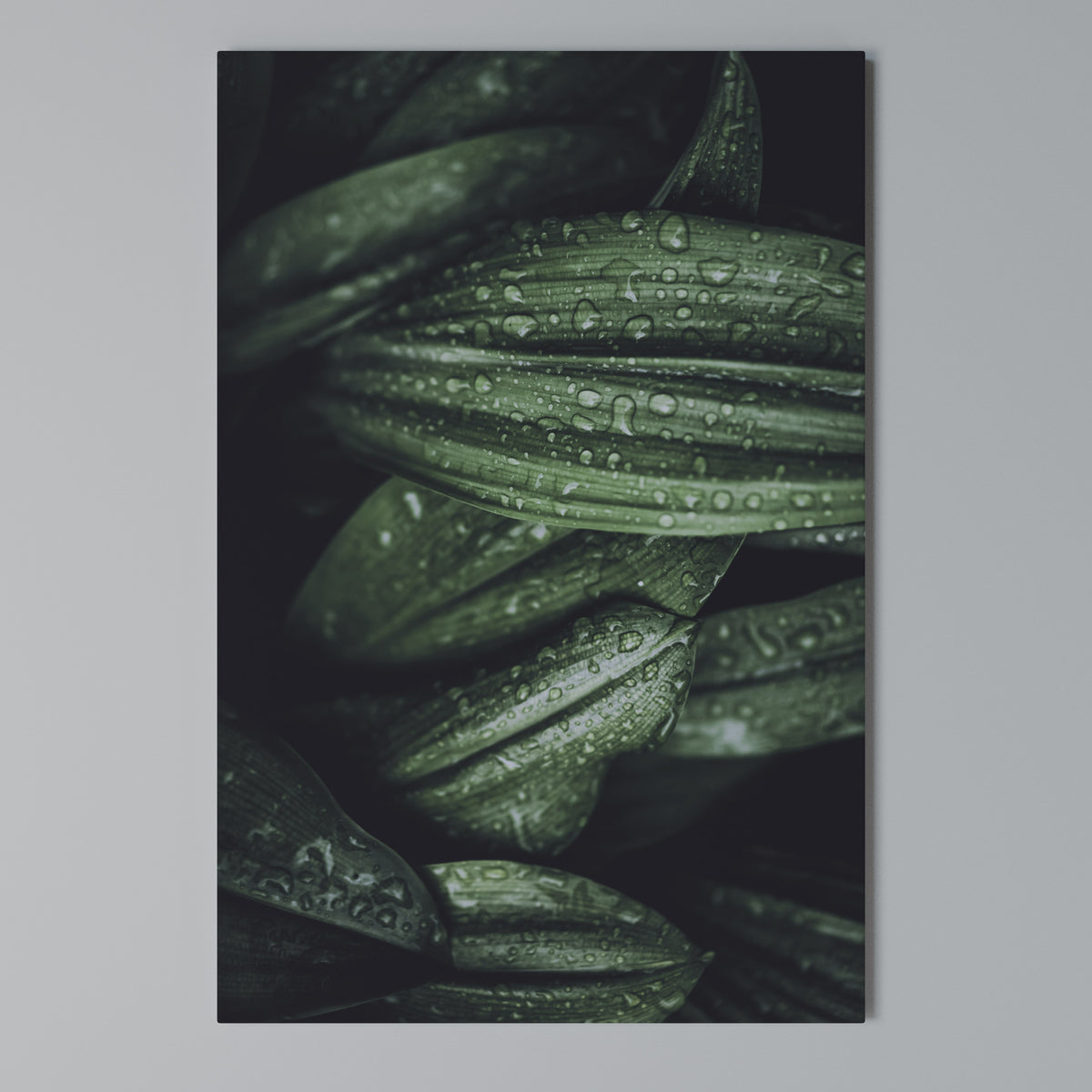 LUSH DROPLET DANCE Vertical Canvas Print