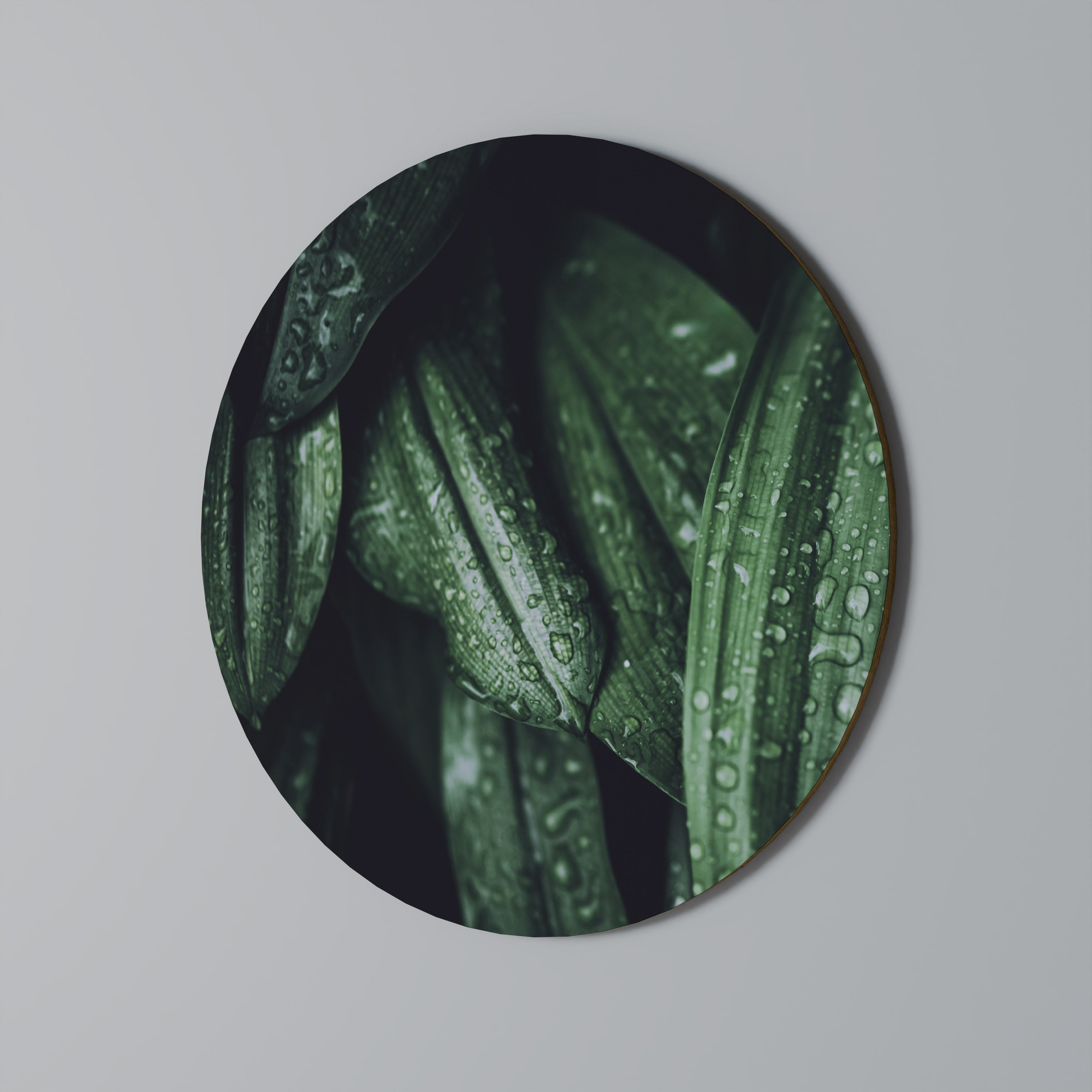 Rund väggdekoration med frodiga droppar och dans