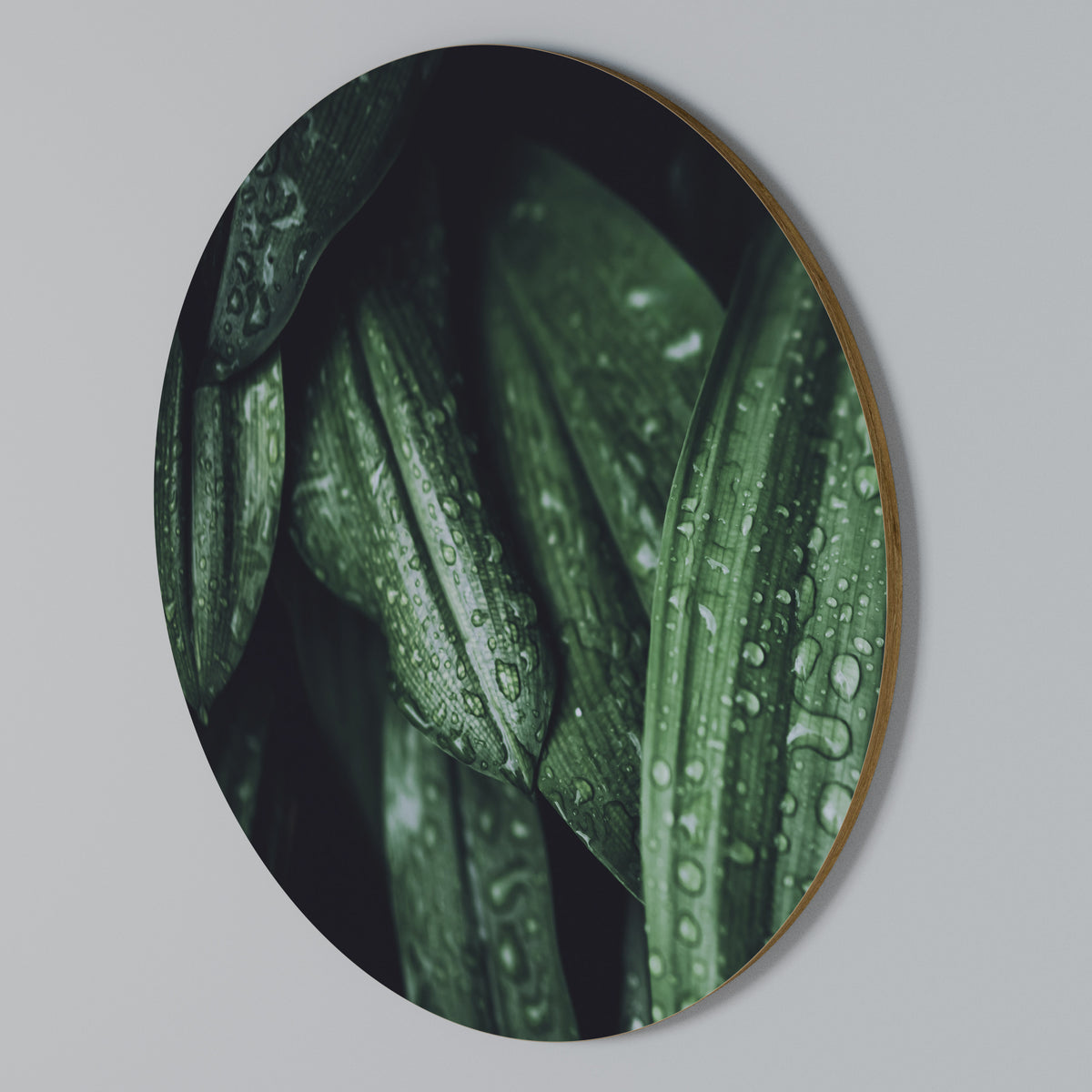 LUSH DROPLET DANCE Rund väggdekor