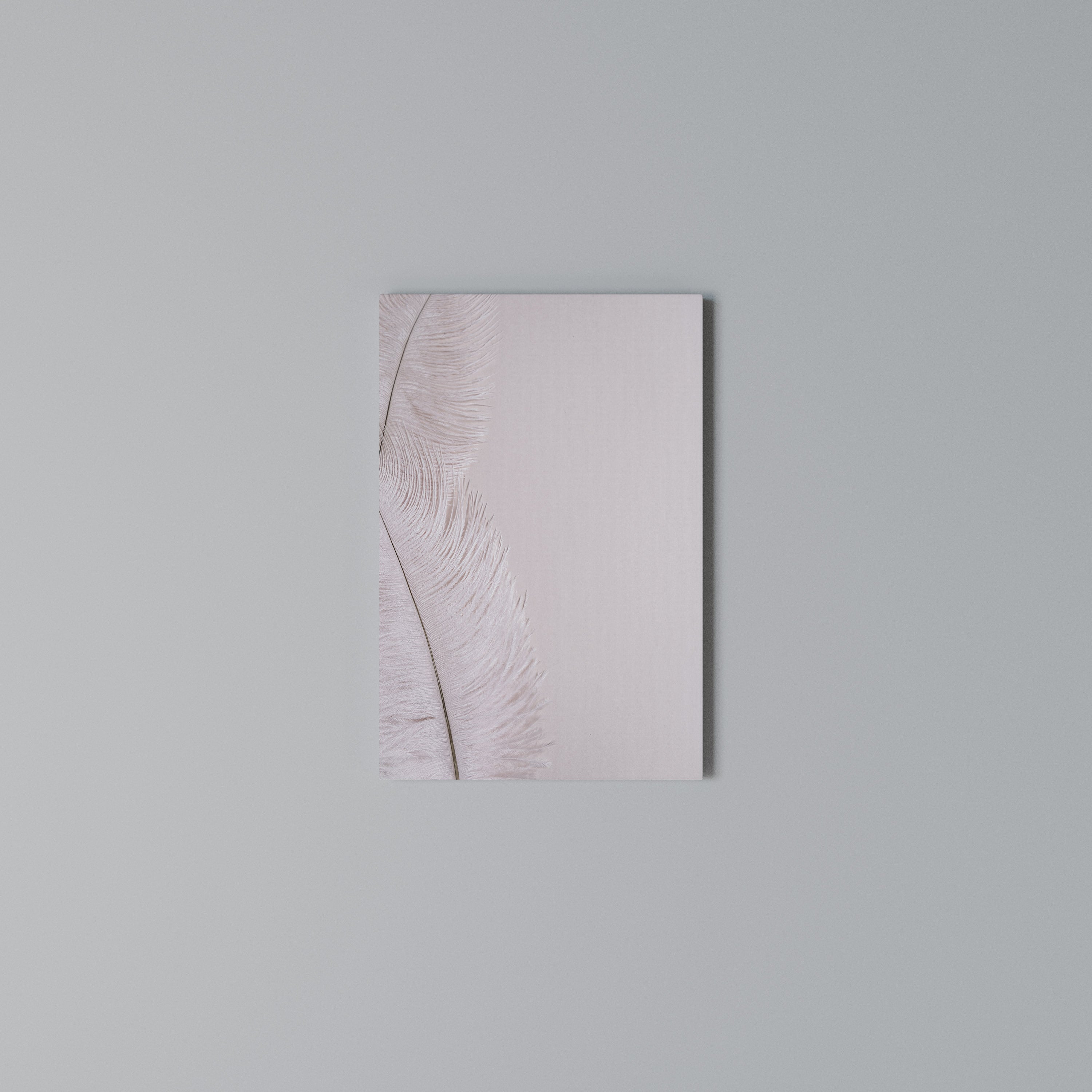 WHISPERING PINK FEATHERS Vertical Canvas Print
