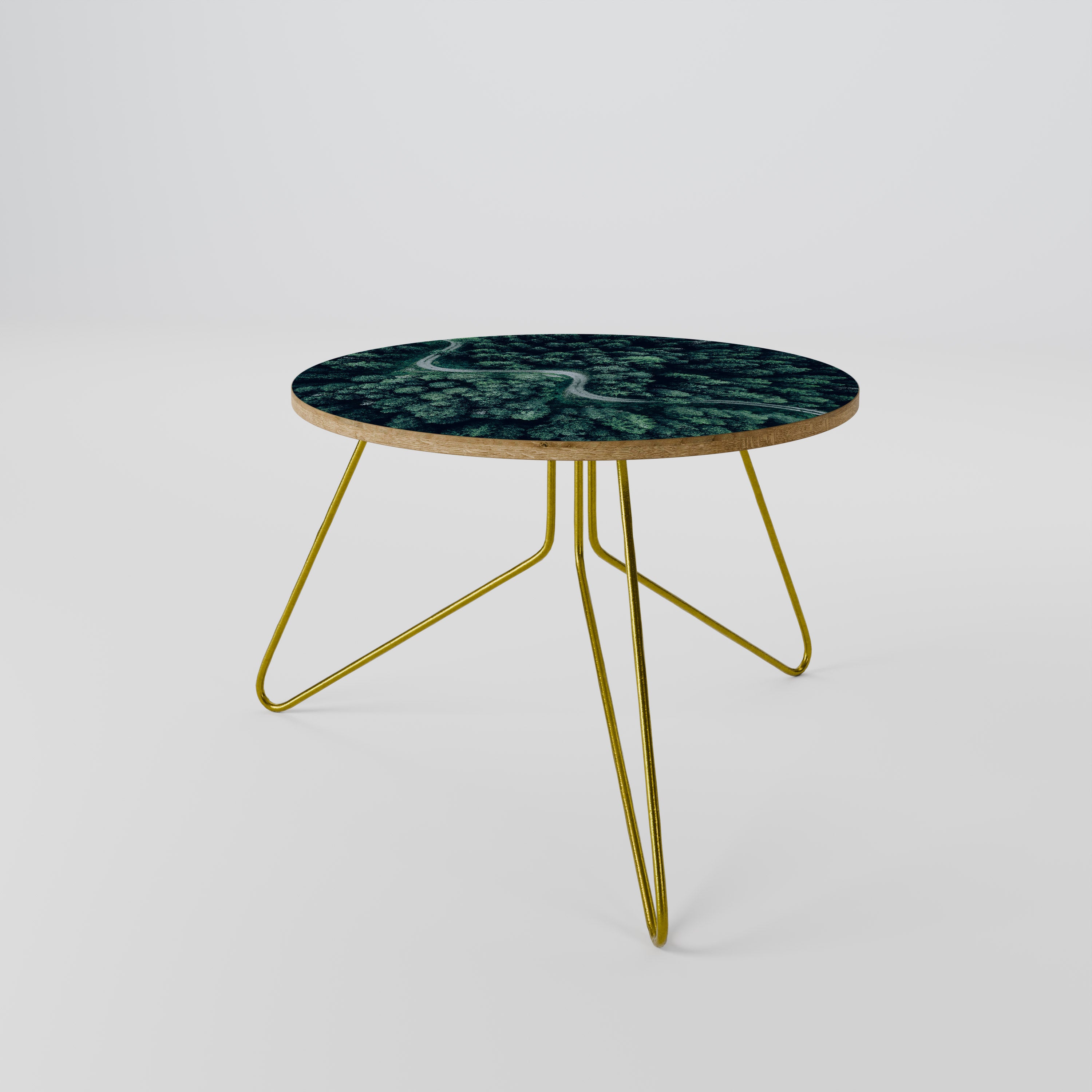 FORESTED SERPENTINE ROUTE Coffee Table