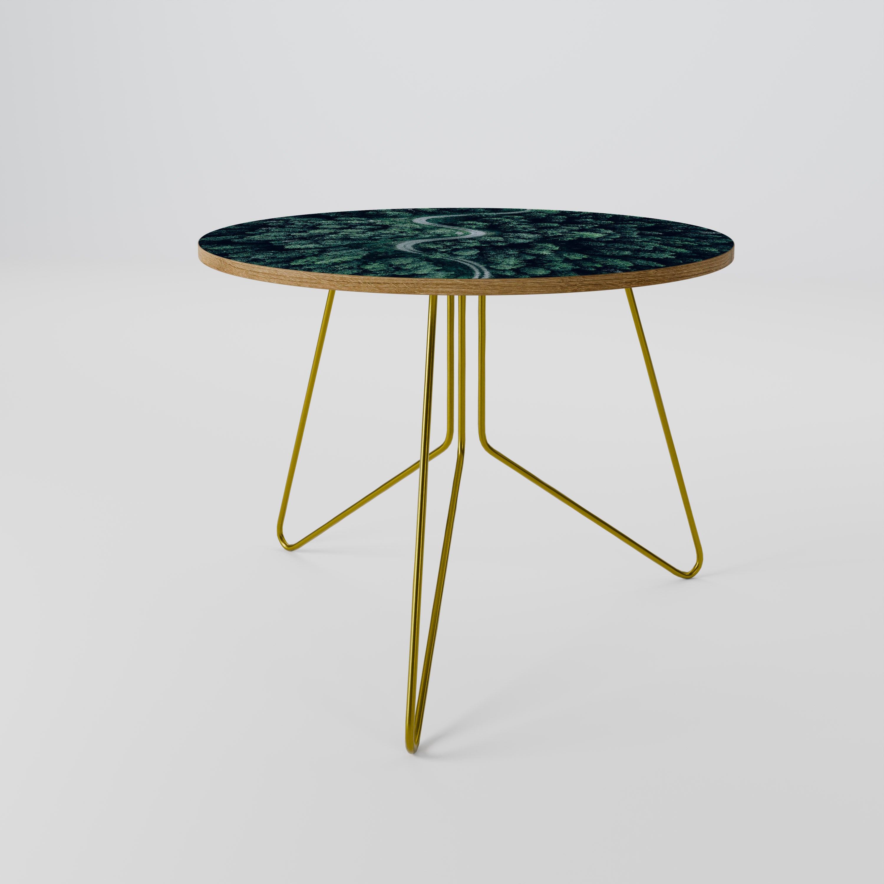 FORESTED SERPENTINE ROUTE Coffee Table