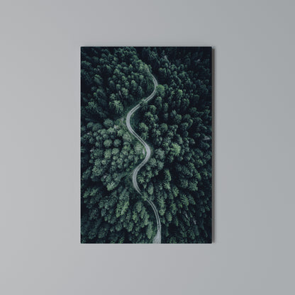 FORESTED SERPENTINE ROUTE Vertical Canvas Print