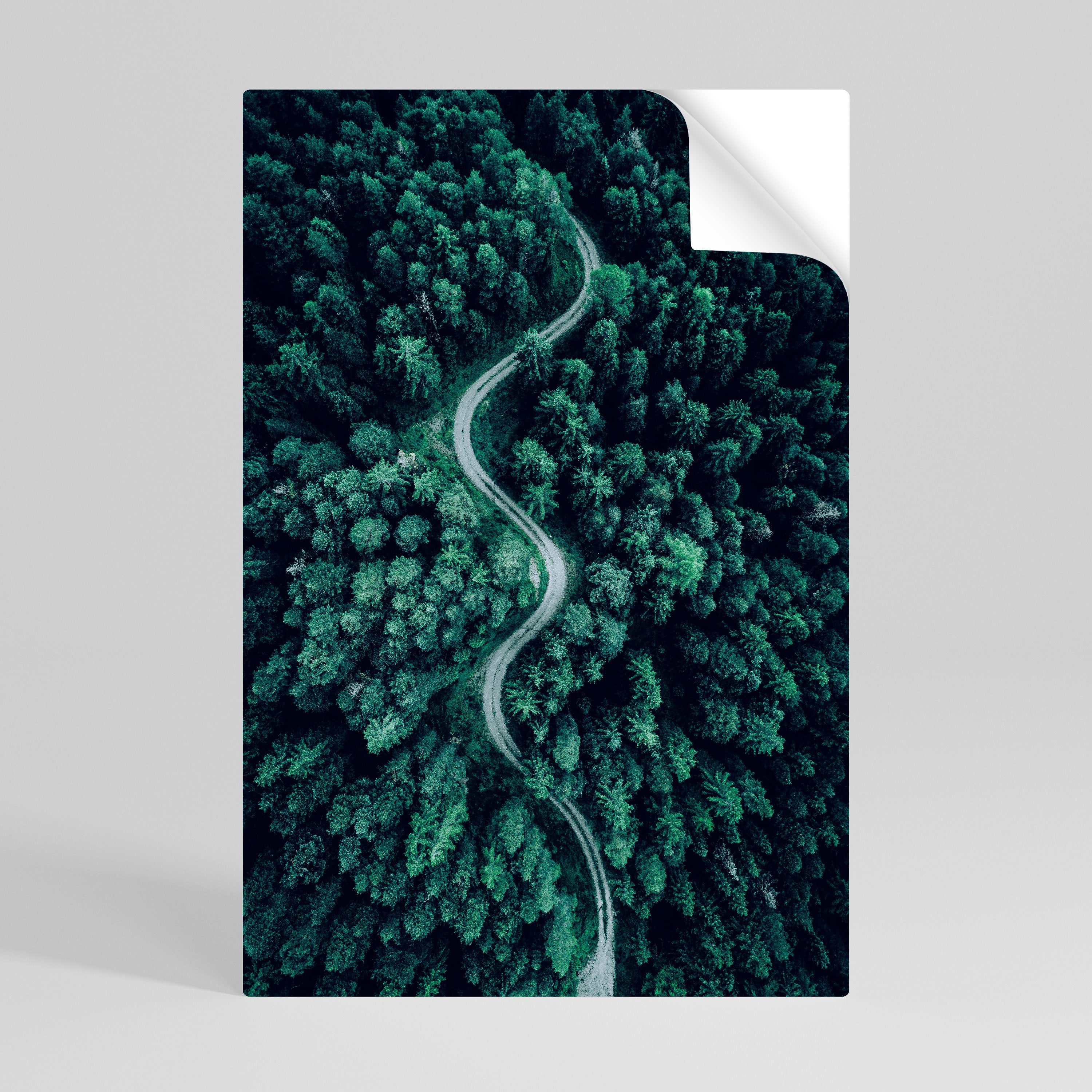 FORESTED SERPENTINE ROUTE Peel and Stick Vertical Poster