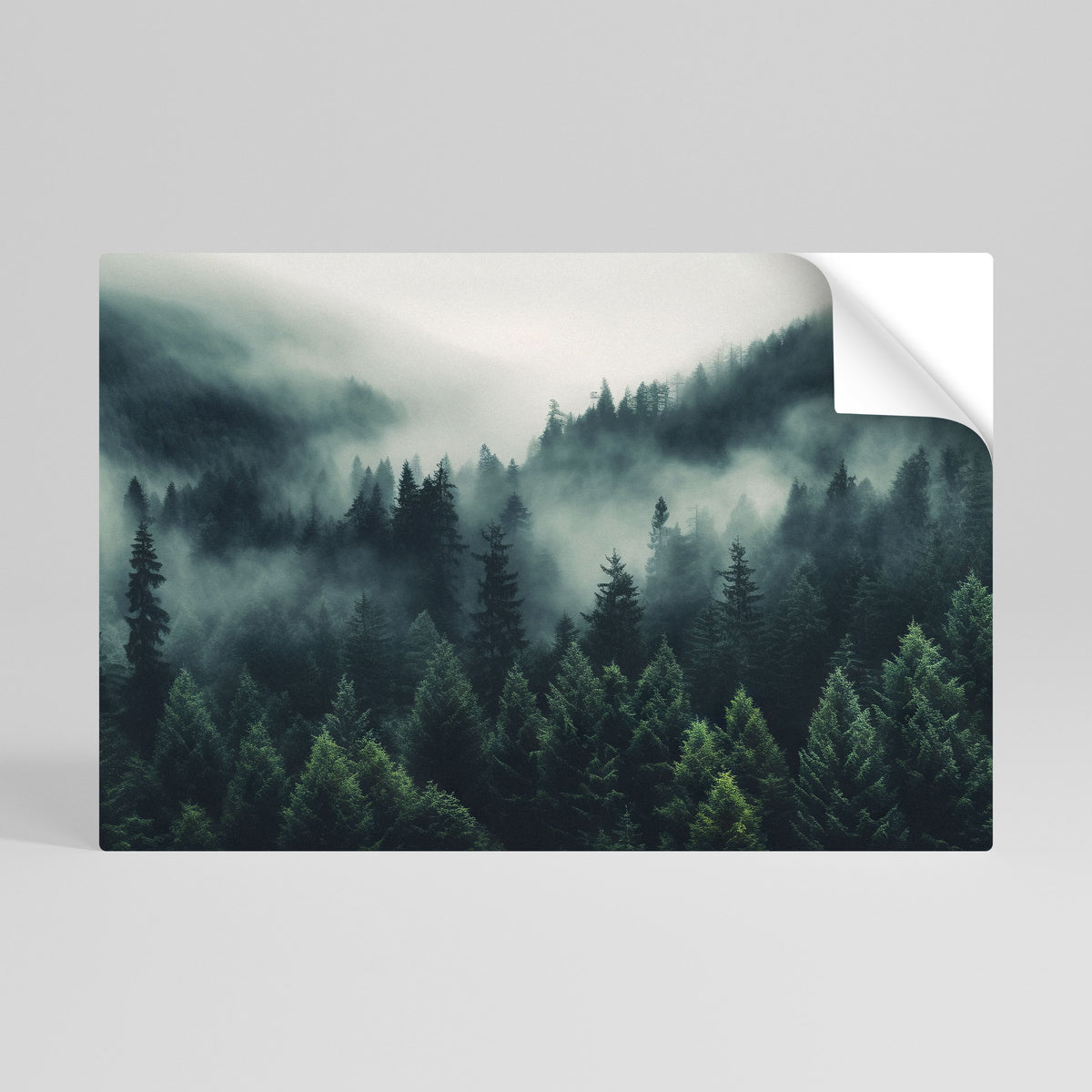 MYSTICAL FOREST WHISPERS Självhäftande Horisontell Poster