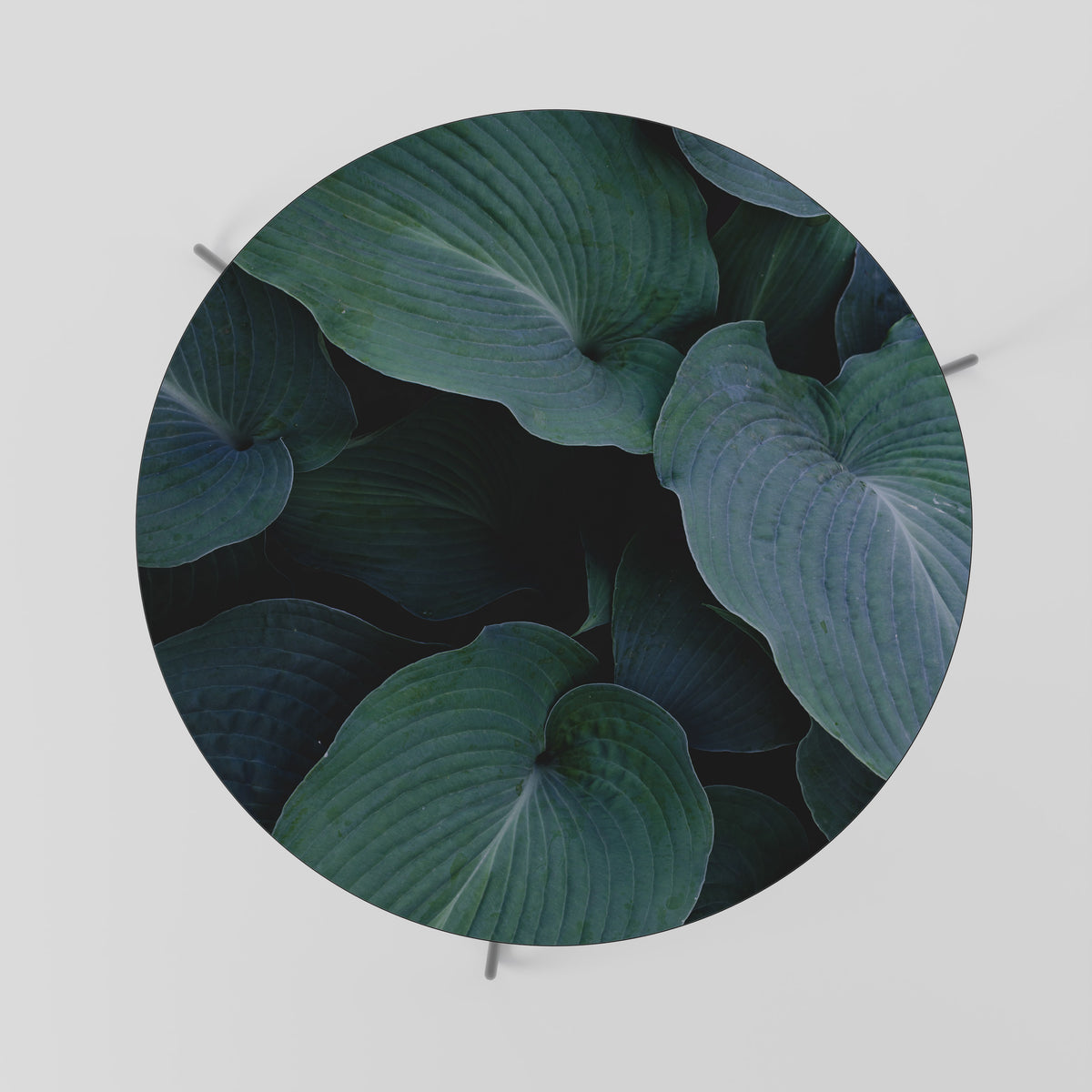 ENCHANTED FOLIAGE DANCE Soffbord