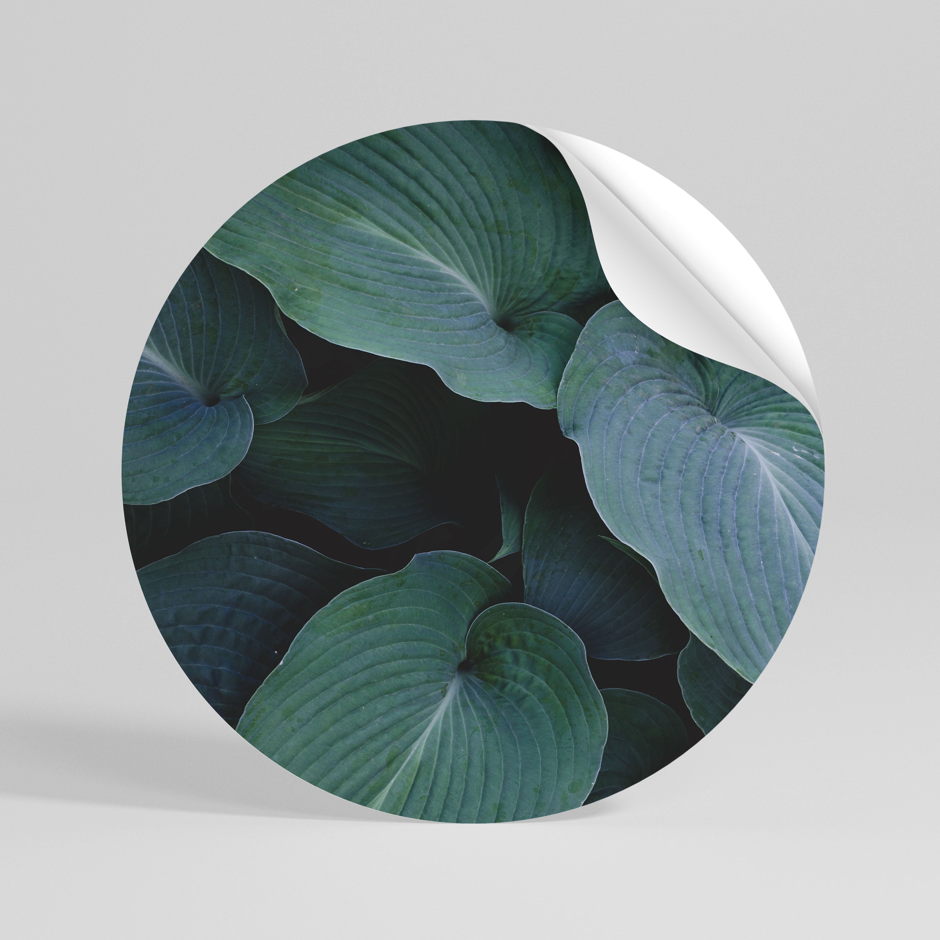 ENCHANTED FOLIAGE DANCE Rund väggdekal