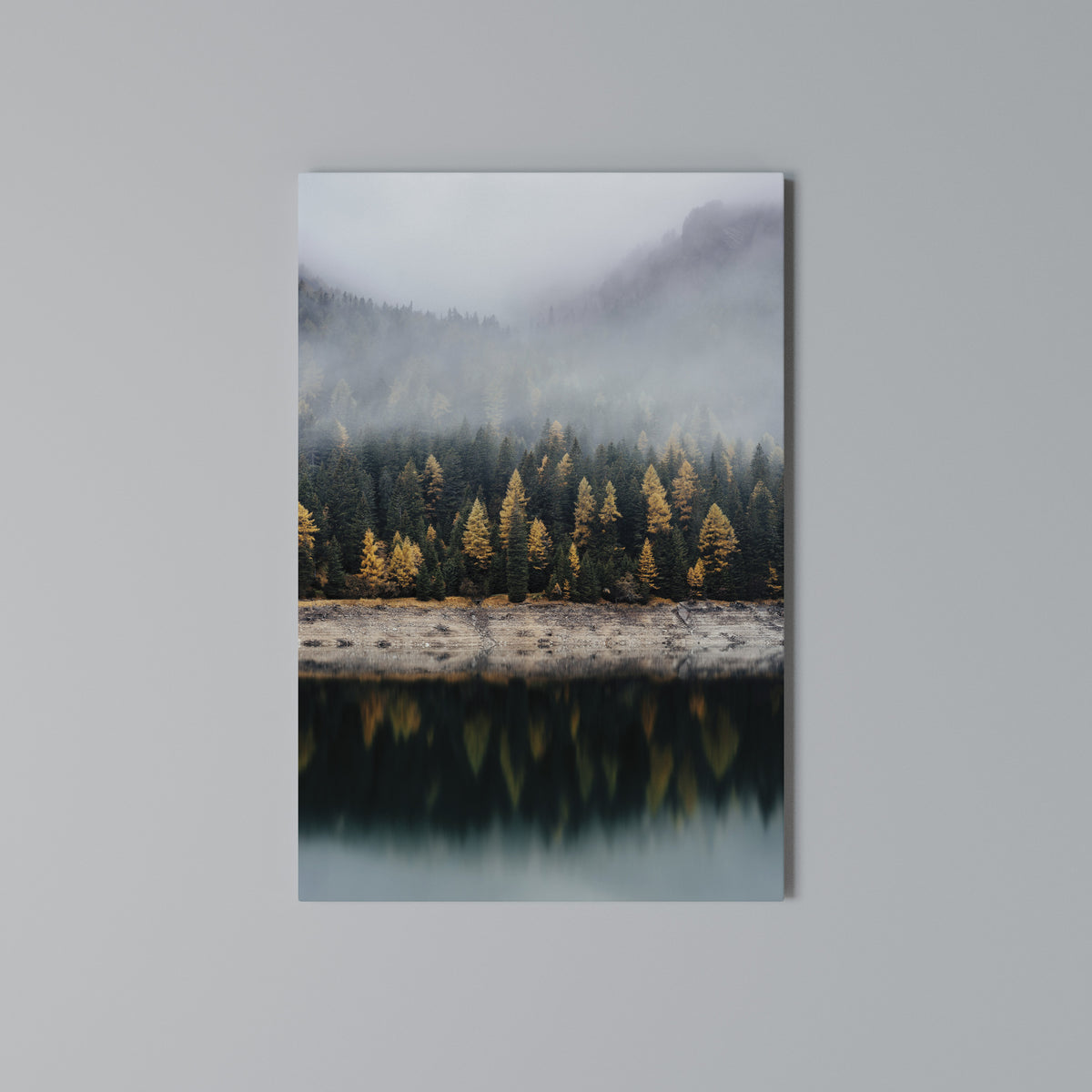 GOLDEN TREES IN FOG Vertical Canvas Print