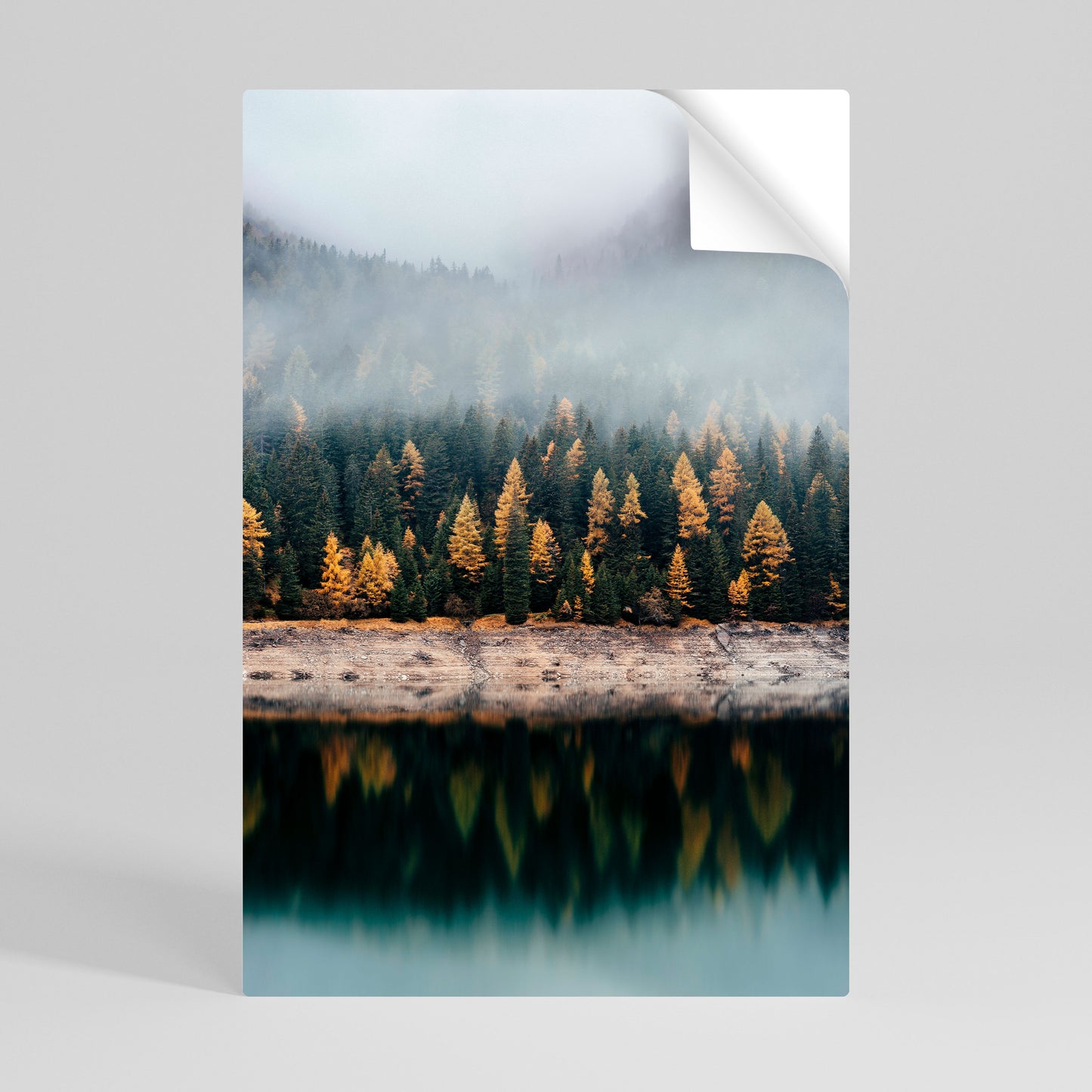 GOLDEN TREES IN FOG Självhäftande Vertikal Poster