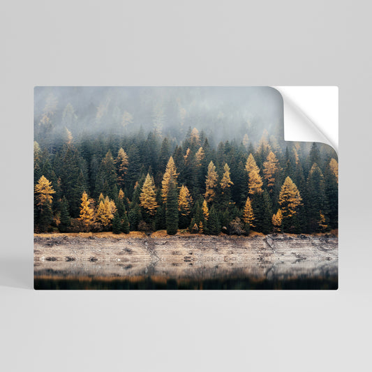 GOLDEN TREES IN FOG Självhäftande Horisontell Poster