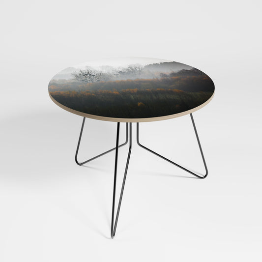 AUTUMNAL HAZE Coffee Table 69