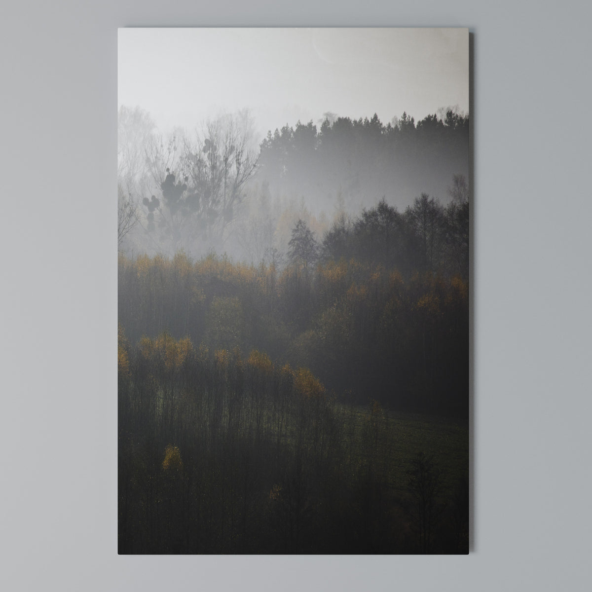AUTUMNAL HAZE Vertical Canvas Print