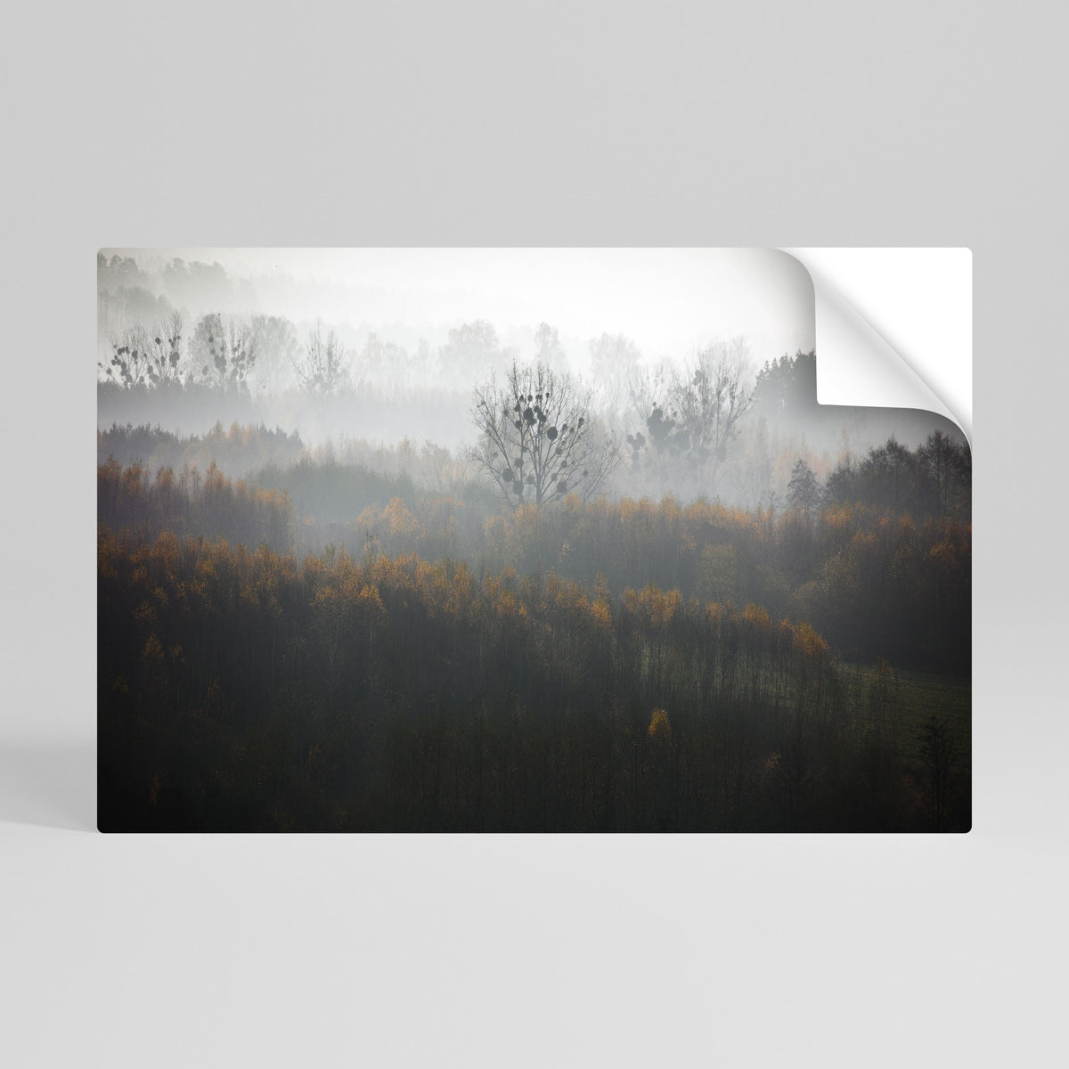 AUTUMNAL HAZE Självhäftande Horisontell Poster