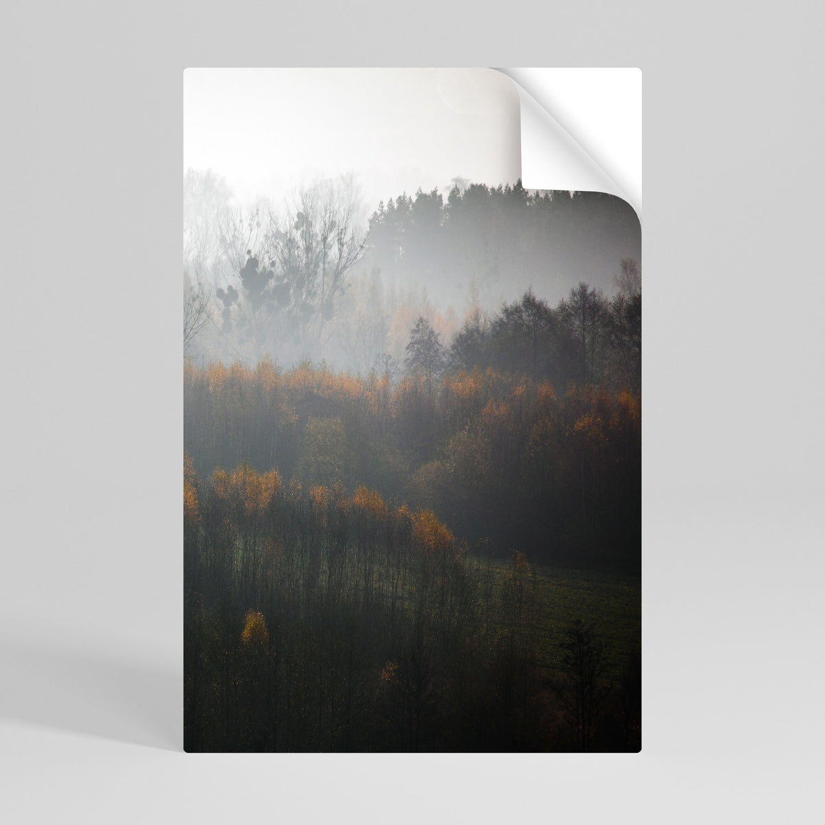 AUTUMNAL HAZE Självhäftande Vertikal Poster