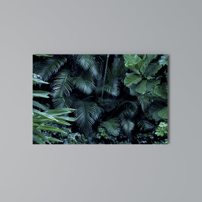 DEEP JUNGLE SERENADE Horizontal Canvas Print