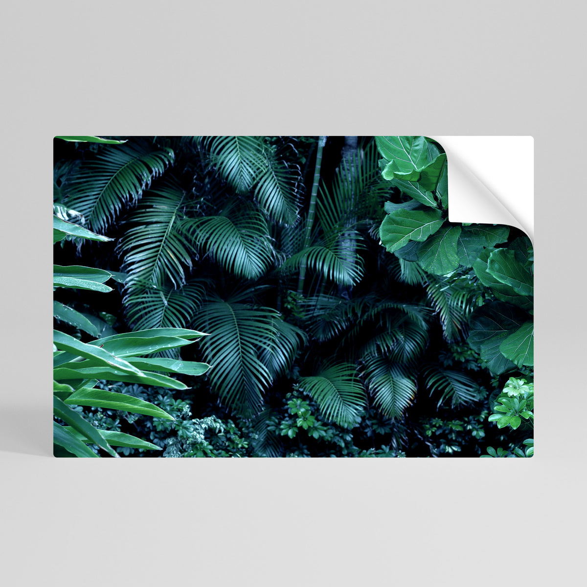 DEEP JUNGLE SERENADE Självhäftande Horisontell Poster