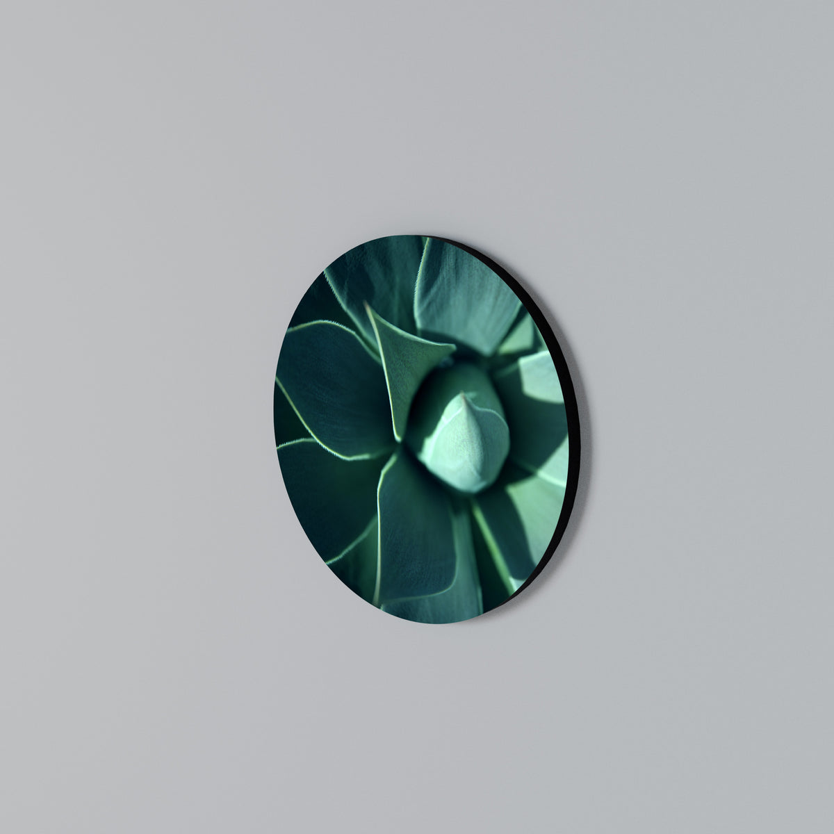 MYSTICAL GREEN WHORL Rund väggdekor