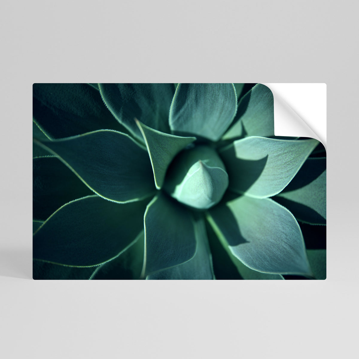 MYSTICAL GREEN WHORL Självhäftande Horisontell Poster