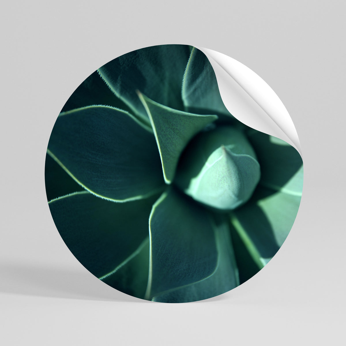 MYSTICAL GREEN WHORL Rund väggdekal