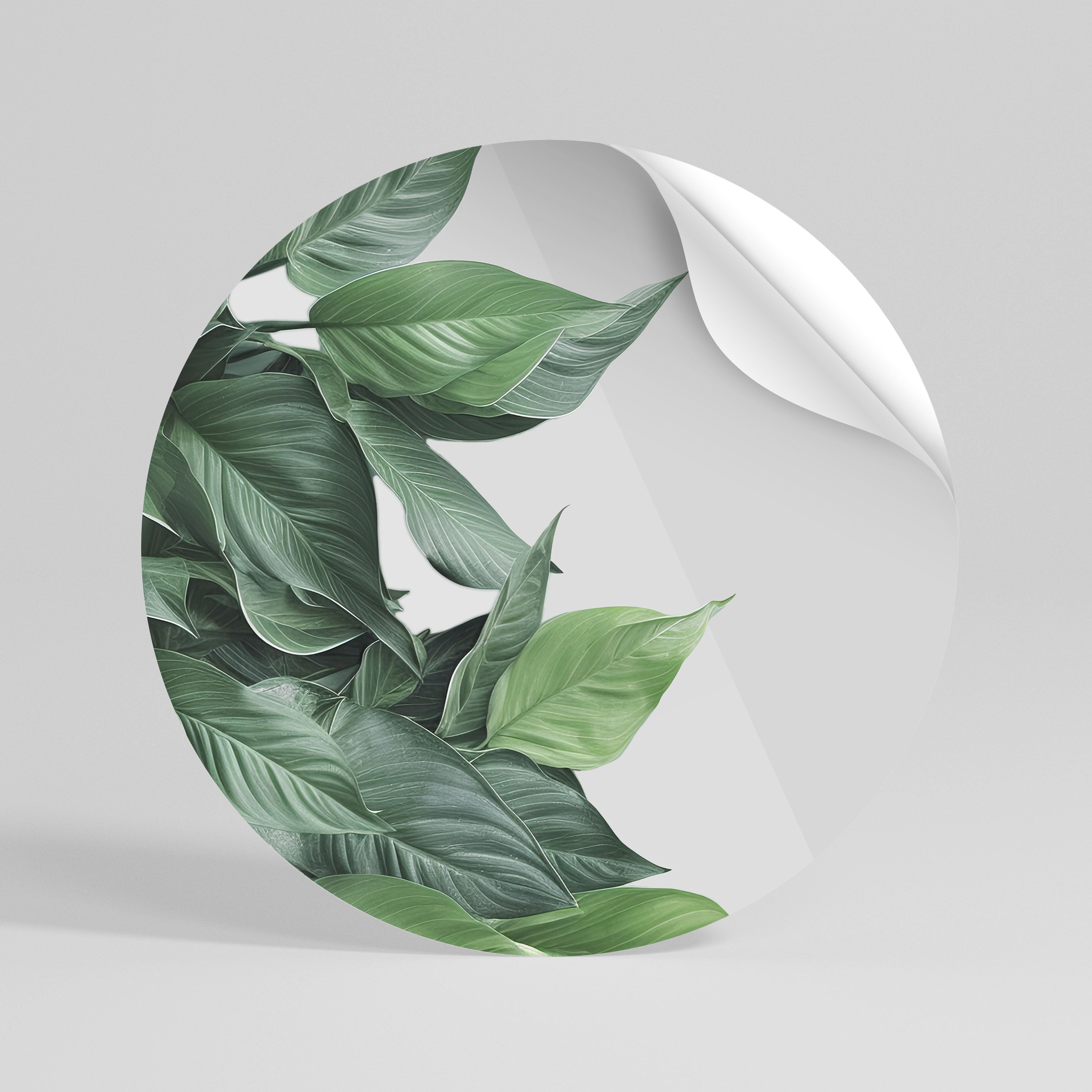 LUSH LEAFY WHIMSY Rund väggdekal