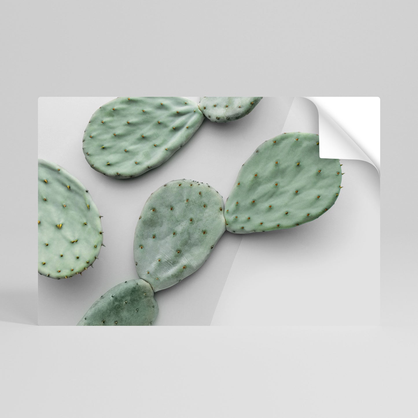 CACTUS DREAMSCAPE Självhäftande Horisontell Poster