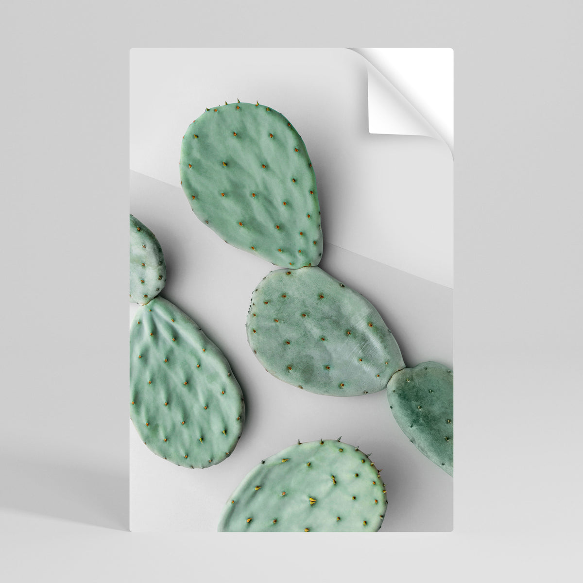 CACTUS DREAMSCAPE Självhäftande Vertikal Poster