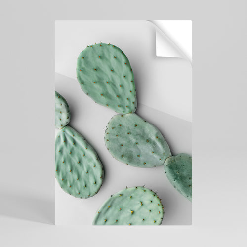 CACTUS DREAMSCAPE Självhäftande Vertikal Poster