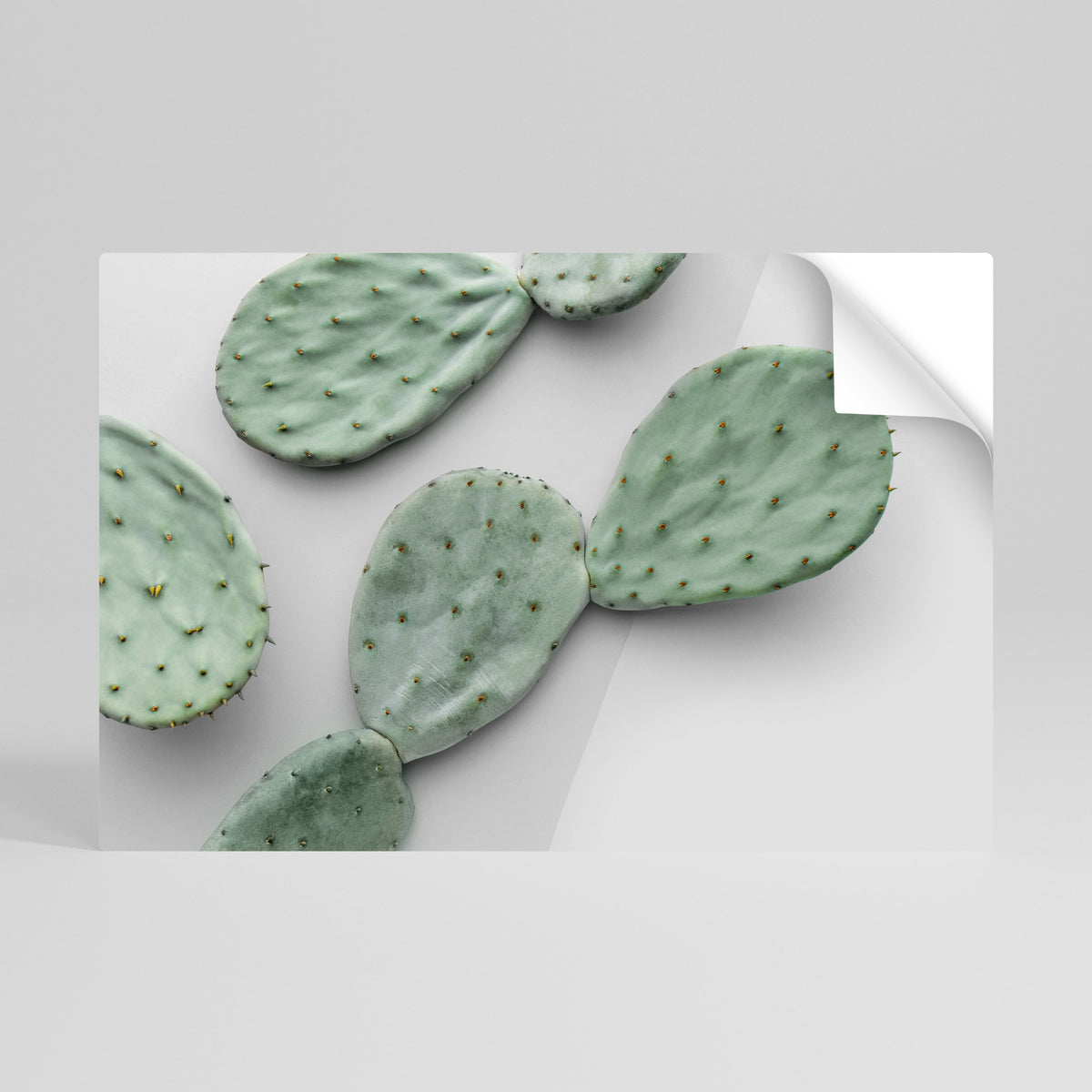 CACTUS DREAMSCAPE Självhäftande Horisontell Poster