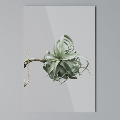 TANGLE OF NATURE Vertical Canvas Print