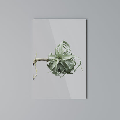 TANGLE OF NATURE Vertical Canvas Print