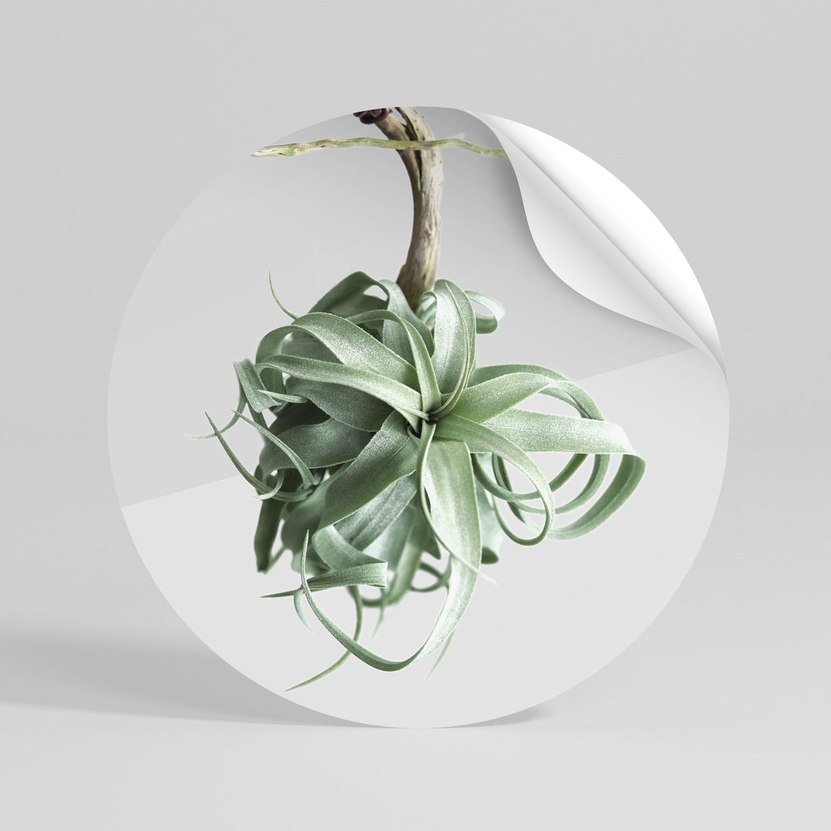 TANGLE OF NATURE Peel and Stick Round Sticker