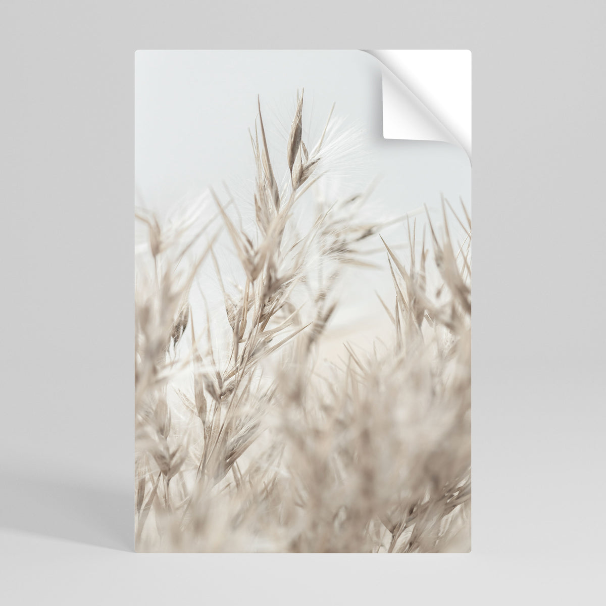 TRANQUIL GRASSES Självhäftande Vertikal Poster