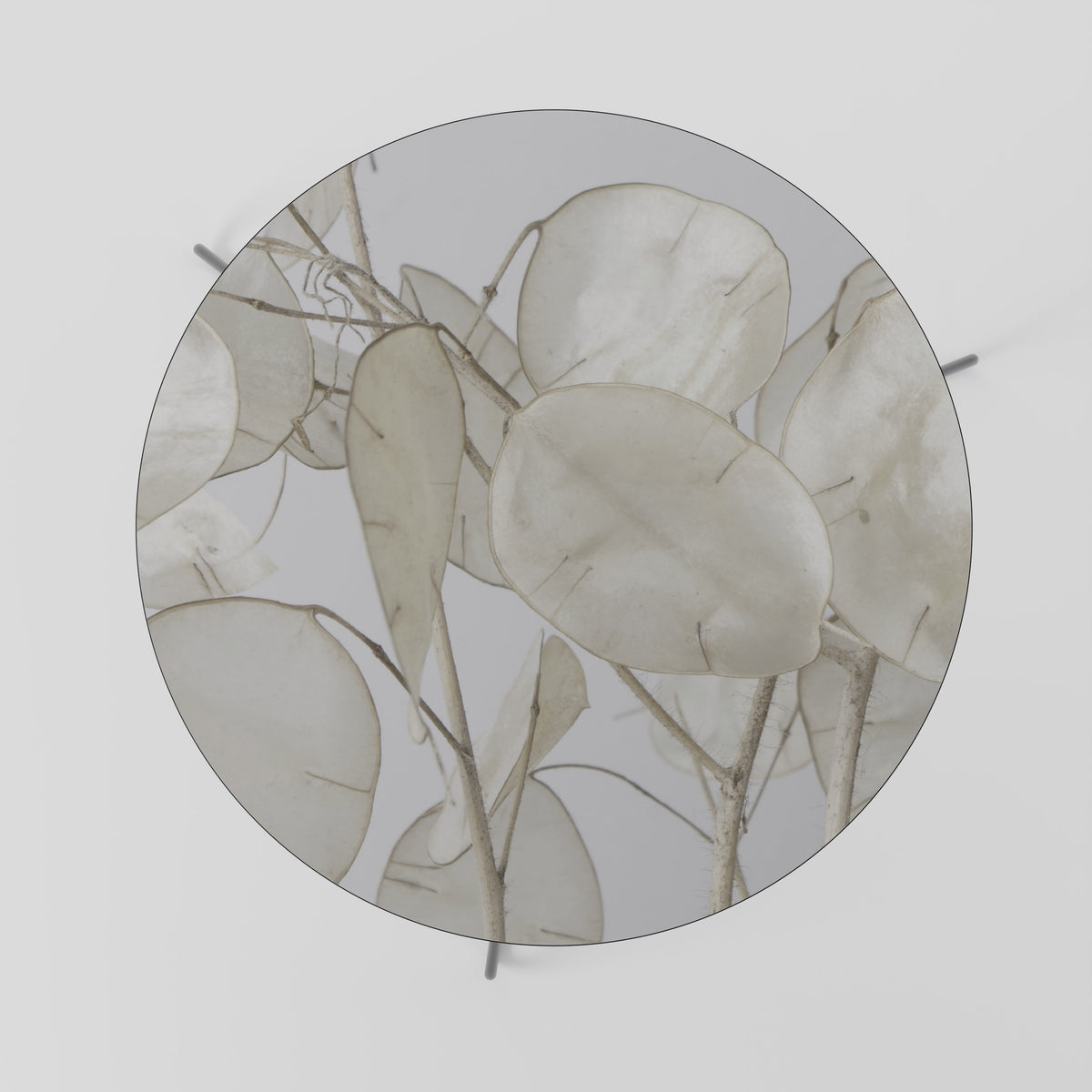 SILKY FOLIAGE WHISPERS Soffbord