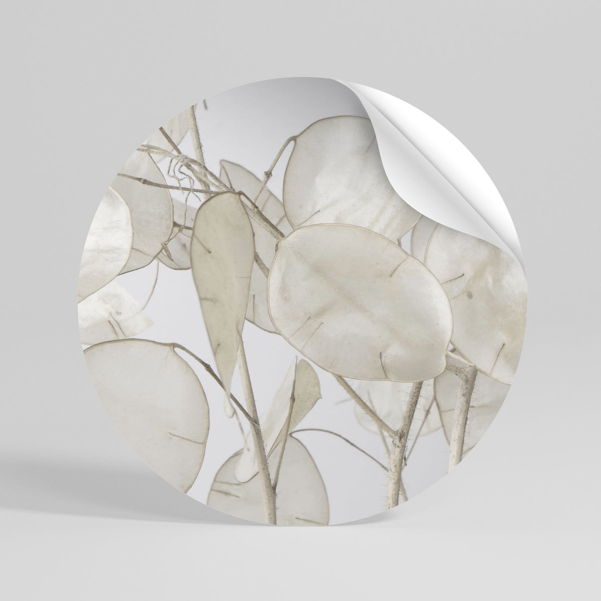 SILKY FOLIAGE WHISPERS Peel and Stick Round Sticker