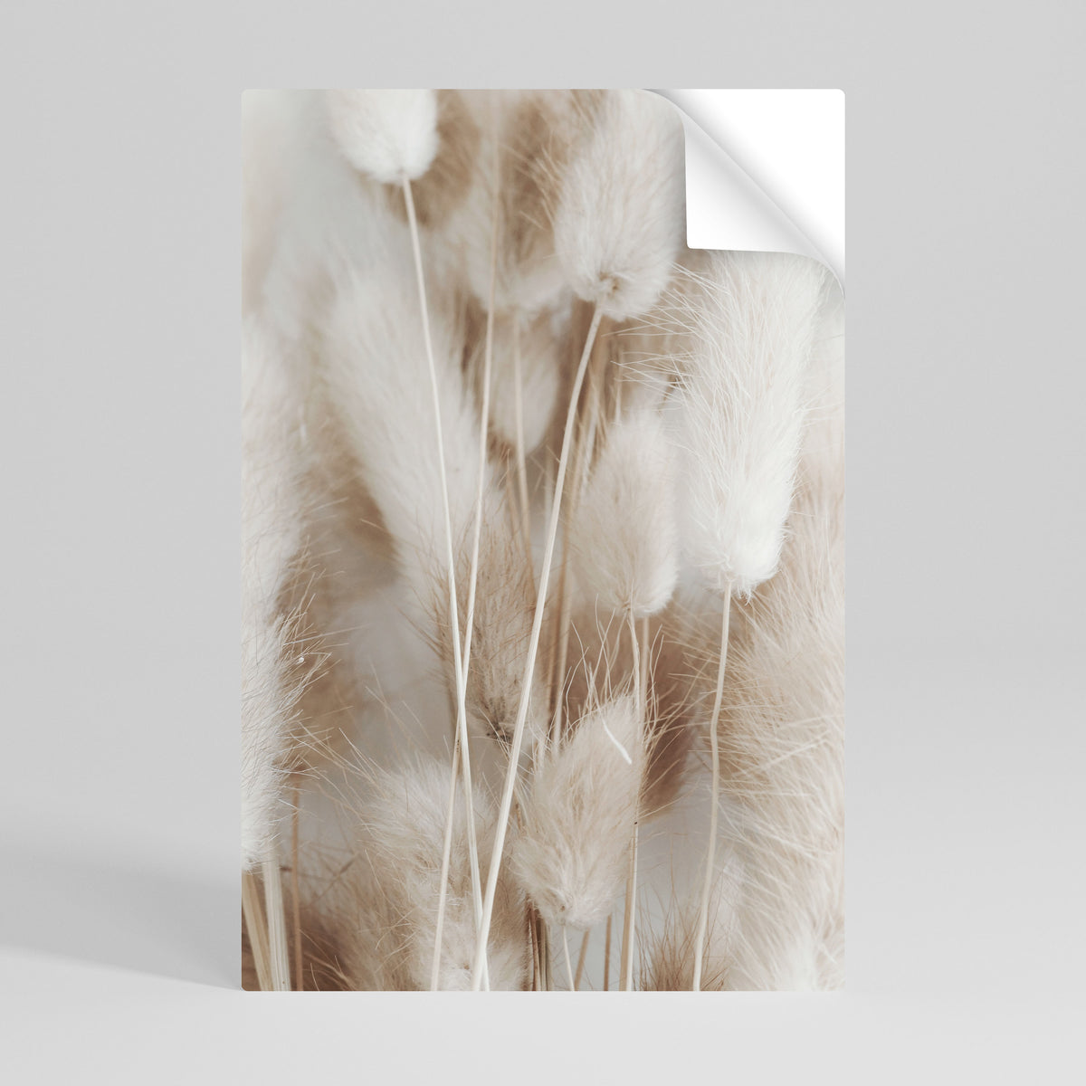 SOFTNESS IN FOCUS Självhäftande Vertikal Poster