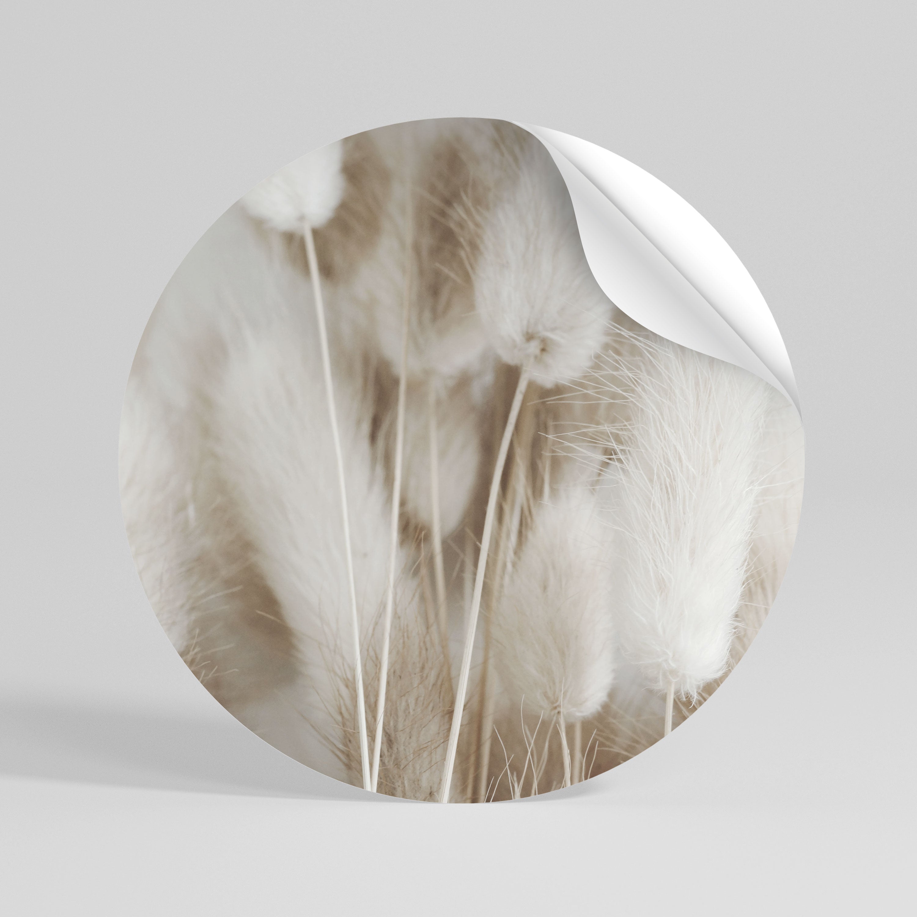 SOFTNESS IN FOCUS Rund väggdekal