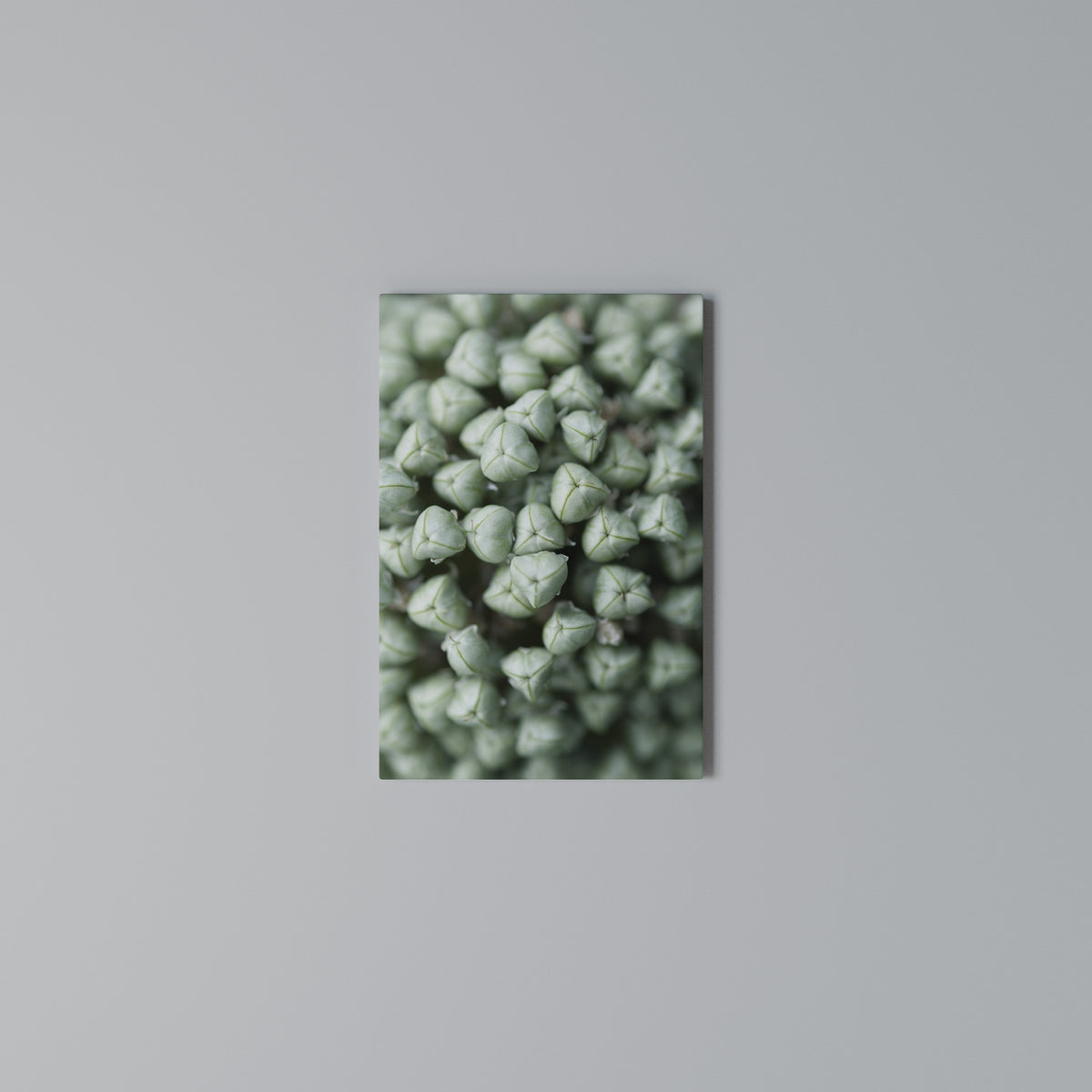 TEXTURED GREEN TIDBITS Vertical Canvas Print