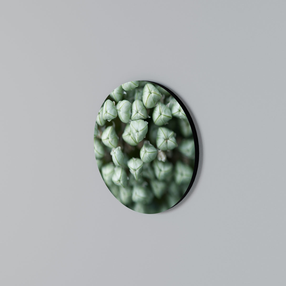 TEXTURED GREEN TIDBITS Rund väggdekor