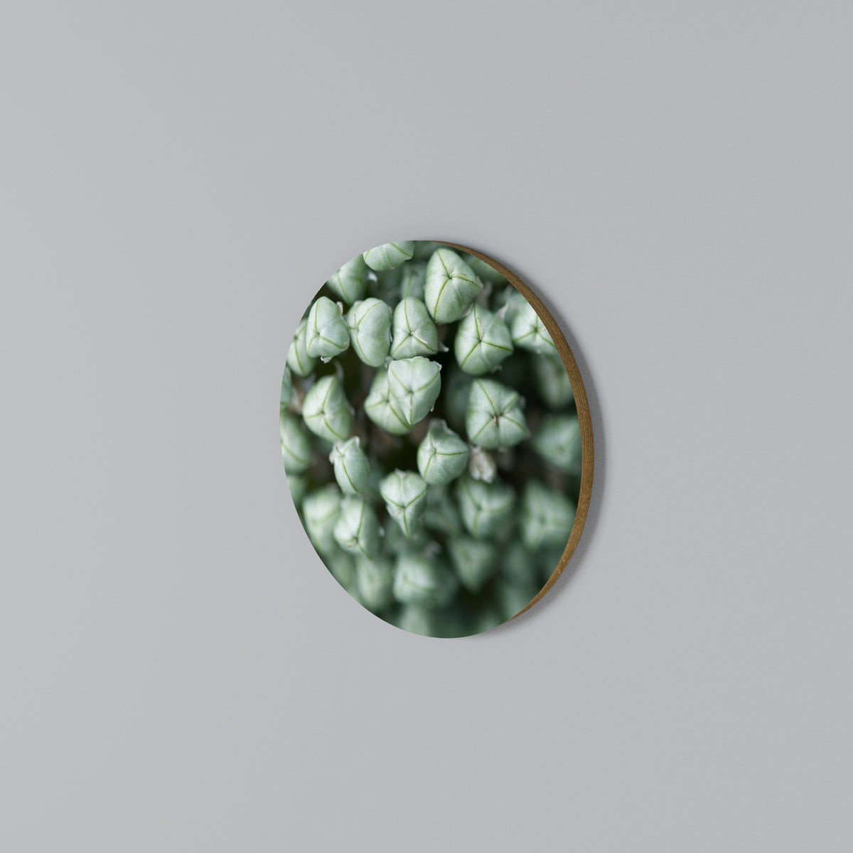 TEXTURED GREEN TIDBITS Rund väggdekor