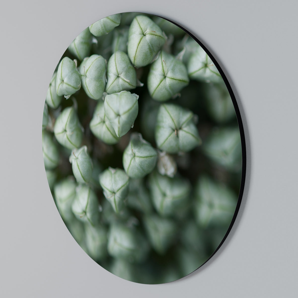 TEXTURED GREEN TIDBITS Rund väggdekor
