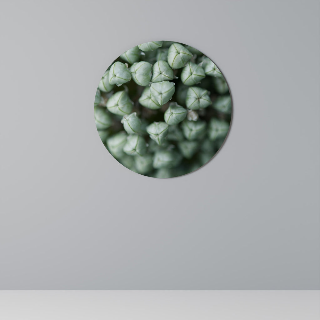 TEXTURERADE GRÖNA SMÅBITAR Rund väggdekoration